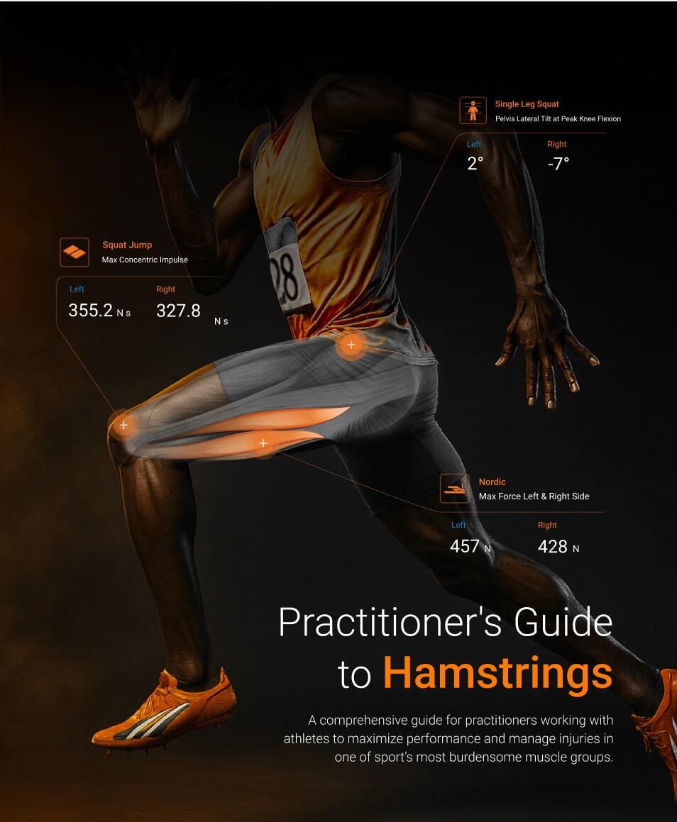 Practitioner's Guide to Hamstrings