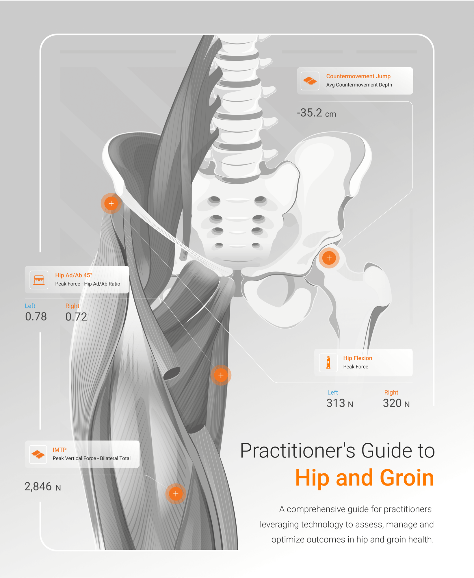 hip-and-groin-guide