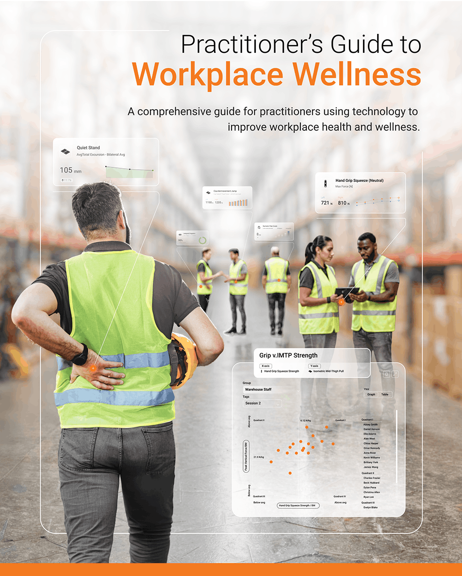 Practitioner's Guide to Workplace Wellness