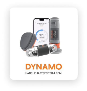 kb-dynamo-v2-min