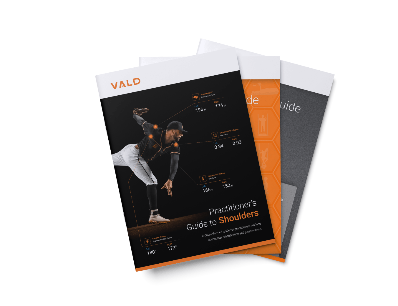 practitioners-guides-min practitioners-guides-min